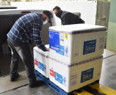 Paraná recebe mais 138 mil vacinas contra a Covid-19 na quarta-feira