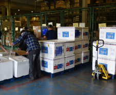 Paraná recebe mais 138 mil vacinas contra a Covid-19 na quarta-feira