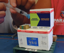 Saúde distribui mais de 260 mil vacinas contra a Covid-19 nesta terça-feira
