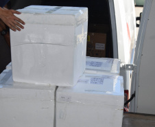 Mais 138 mil vacinas contra a Covid-19 para dose reforço chegam ao Estado