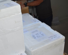 Mais 138 mil vacinas contra a Covid-19 para dose reforço chegam ao Estado