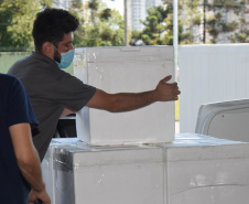 Mais 138 mil vacinas contra a Covid-19 para dose reforço chegam ao Estado