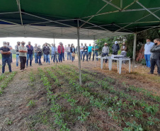 Giro Técnico da soja reuniu 1.300 pessoas em todo o estado