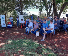 Giro Técnico da soja reuniu 1.300 pessoas em todo o estado