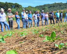 IDR-Paraná fecha o ano vencendo desafios e apontando caminhos para o produtor paranaense