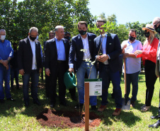 Em Foz do Iguaçu, governador acompanha plantio da 24ª milionésima árvore pela Itaipu Binacional