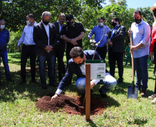 Em Foz do Iguaçu, governador acompanha plantio da 24ª milionésima árvore pela Itaipu Binacional