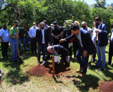 Em Foz do Iguaçu, governador acompanha plantio da 24ª milionésima árvore pela Itaipu Binacional