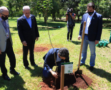 Em Foz do Iguaçu, governador acompanha plantio da 24ª milionésima árvore pela Itaipu Binacional