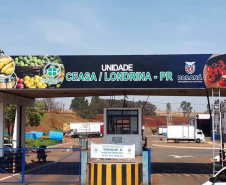 Ceasa Londrina aberto nesta sexta-feira, dia 10 de dezembro