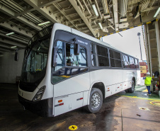 Em grande operação, Porto de Paranaguá embarca 154 ônibus para a Costa do Marfim