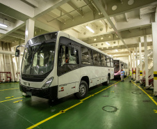 Em grande operação, Porto de Paranaguá embarca 154 ônibus para a Costa do Marfim