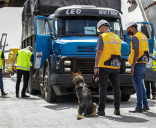 Guarda Portuária do Paraná é pioneira na utilização de cães de faro
