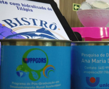 Sorvete à base de tilápia: produto inovador é desenvolvido na Unioeste