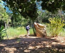 Em quatro dias de fiscalização intensa, IAT não registra autuações da Piracema