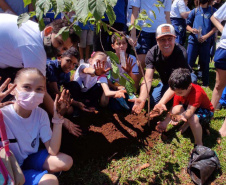  	Estado reforça ações de sustentabilidade nos municípios do Paraná