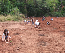  	Estado reforça ações de sustentabilidade nos municípios do Paraná