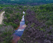Inscrições para passeio ciclístico no Parque Estadual do Cerrado vão até quinta-feira