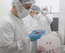Revisões  Tecpar conclui entrega da vacina antirrábica animal de 2021 ao Ministério da Saúde