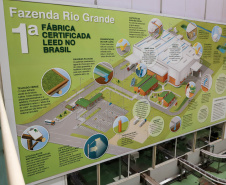 Vice Governador Darci Piana  Visita Fabrica de Chá Leão em Fazenda Rio Grande.
