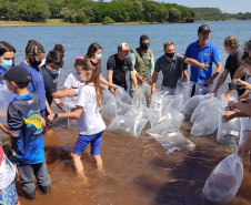 Rio Mourão recebe 300 mil novos peixes nativos