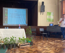 Investimento em novos mercados e produtos pode impulsionar erva-mate paranaense