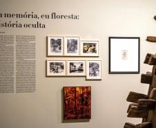 Legado da erva-mate inspira projeto e parcerias entre museus