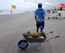 Sanepar coleta 600 kg de coco verde por dia nas praias de Pontal do Paraná