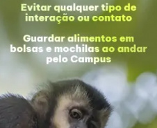 Projeto do CCB orienta comunidade sobre o convívio com os macacos-pregos do Campus