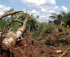 Batalhão Ambiental emite mais de 3,4 mil autuações e aplica mais de R$ 60,2 milhões em multas por crimes ambientais em 2021