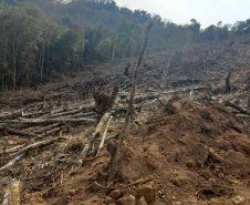 Batalhão Ambiental emite mais de 3,4 mil autuações e aplica mais de R$ 60,2 milhões em multas por crimes ambientais em 2021