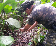 Batalhão Ambiental emite mais de 3,4 mil autuações e aplica mais de R$ 60,2 milhões em multas por crimes ambientais em 2021