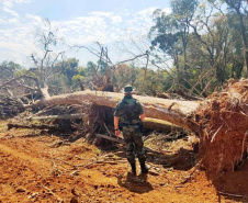 Batalhão Ambiental emite mais de 3,4 mil autuações e aplica mais de R$ 60,2 milhões em multas por crimes ambientais em 2021