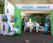 CastraPet Paraná chega a mais 12 municípios e encerra segundo ciclo em janeiro