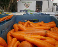 Ações do Estado ampliam segurança alimentar e fortalecem agricultura familiar