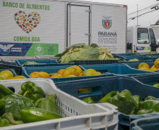 Ações do Estado ampliam segurança alimentar e fortalecem agricultura familiar