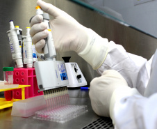 Predominância da Ômicron passa de 85% no Paraná, aponta Fiocruz