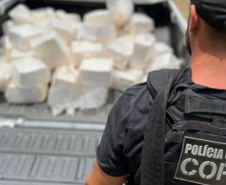PCPR apreende 240 quilos de cocaína e prende cinco pessoas em Curitiba e RMC