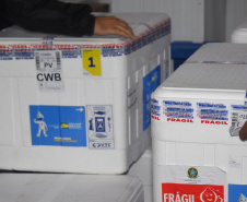 Vacinas pediátricas chegam ao Paraná e serão distribuídas nesta quarta-feira