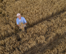 PARANÁ AGRO