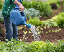 Ações do Estado ampliam segurança alimentar e fortalecem agricultura familiar