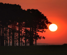 “Calorão” faz Paraná chegar a 40°C; cidades registram recordes históricos