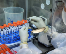 Relatório confirma predominância da variante Ômicron e novos casos no Paraná