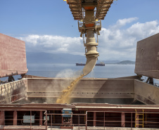 Terminais do Porto de Paranaguá fazem projeção para as exportações de granéis sólidos para 1º tri   