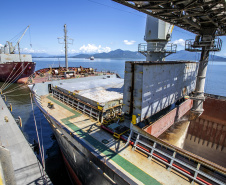 Terminais do Porto de Paranaguá fazem projeção para as exportações de granéis sólidos para 1º tri   