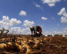 PARANÁ AGRO