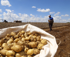 PARANÁ AGRO