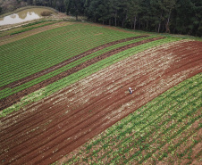 Com milhares de produtores certificados, Paraná aposta no cultivo de orgânicos