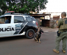 Ações com cães da Polícia Civil apreenderam 7,8 toneladas de drogas em 2021