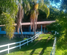 Café da manhã em parreiral e uma noite na carroça? Veja opções de experiências memoráveis na RMC